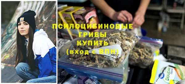 винт Алексин